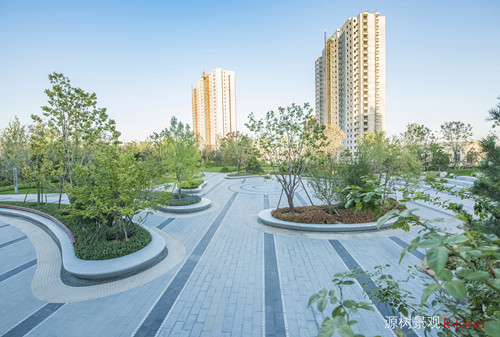 【源樹作品】地鐵上蓋公園——京投發(fā)展悅府公園景觀改造提升