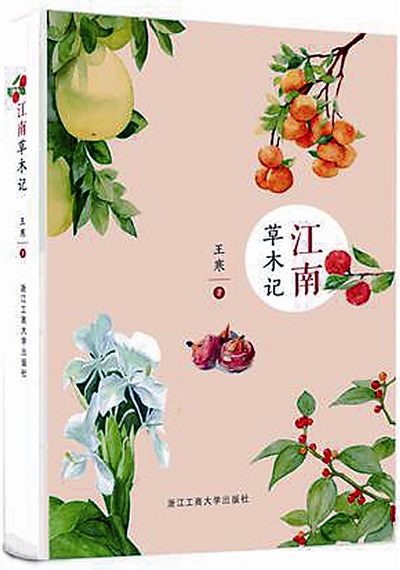 書(shū)評(píng)：江南草木 淺淺相遇