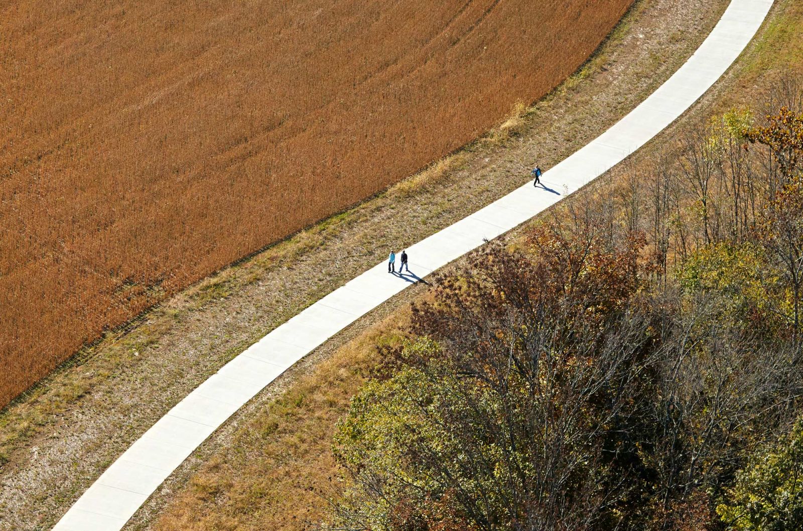 綠色基礎(chǔ)設(shè)施框架中的弗洛伊茲福克公園