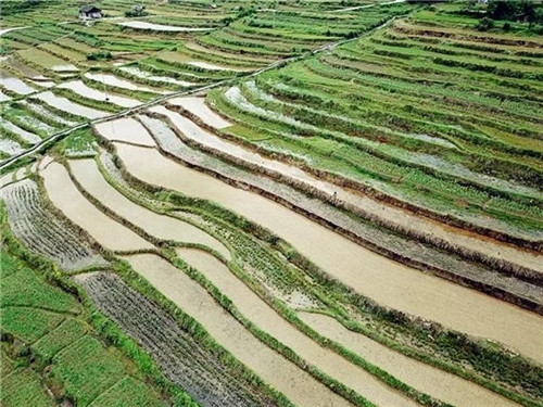 酉陽(yáng)龍甲梯田：繪出醉美的大地曲線(xiàn)
