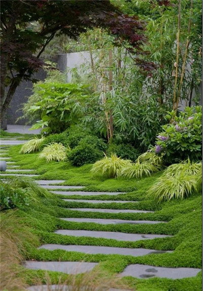 觀賞草在園林景觀中的運(yùn)用