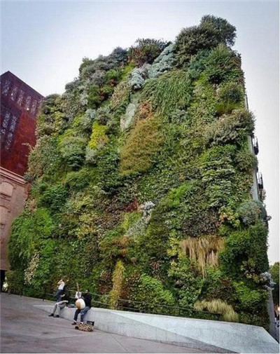 觀賞草在園林景觀中的運(yùn)用