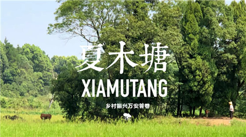 鄉(xiāng)村為底圖，設(shè)計(jì)為橋梁：2018第三屆國際高校建造大賽結(jié)果揭曉
