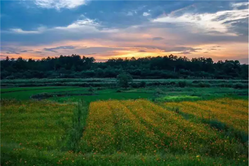 鄉(xiāng)村為底圖，設(shè)計(jì)為橋梁：2018第三屆國際高校建造大賽結(jié)果揭曉