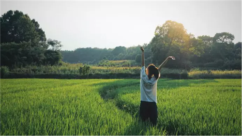 鄉(xiāng)村為底圖，設(shè)計(jì)為橋梁：2018第三屆國際高校建造大賽結(jié)果揭曉