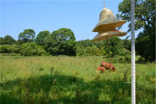 鄉(xiāng)村為底圖，設(shè)計(jì)為橋梁：2018第三屆國際高校建造大賽結(jié)果揭曉