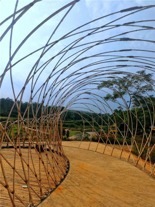 鄉(xiāng)村為底圖，設(shè)計(jì)為橋梁：2018第三屆國際高校建造大賽結(jié)果揭曉