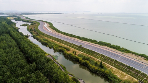 園冶杯專業(yè)獎(jiǎng)：環(huán)巢湖旅游大道