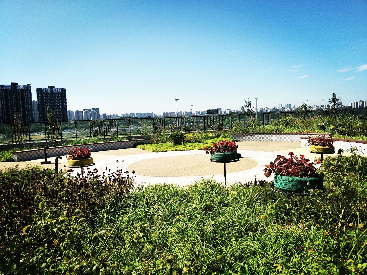 園冶杯專業獎：景山學校分校低碳屋頂花園