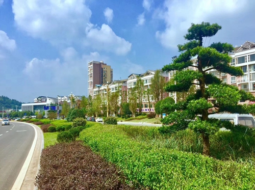園冶杯專業獎：資陽市嬌子大道綜合整治建設工程-節點景觀提升