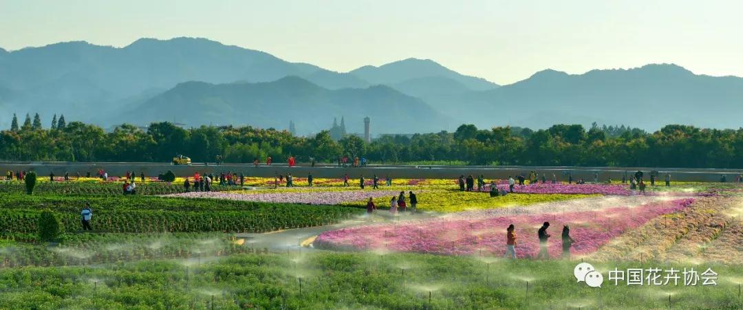 花卉界兩項成果獲2018年度國家科學(xué)技術(shù)獎