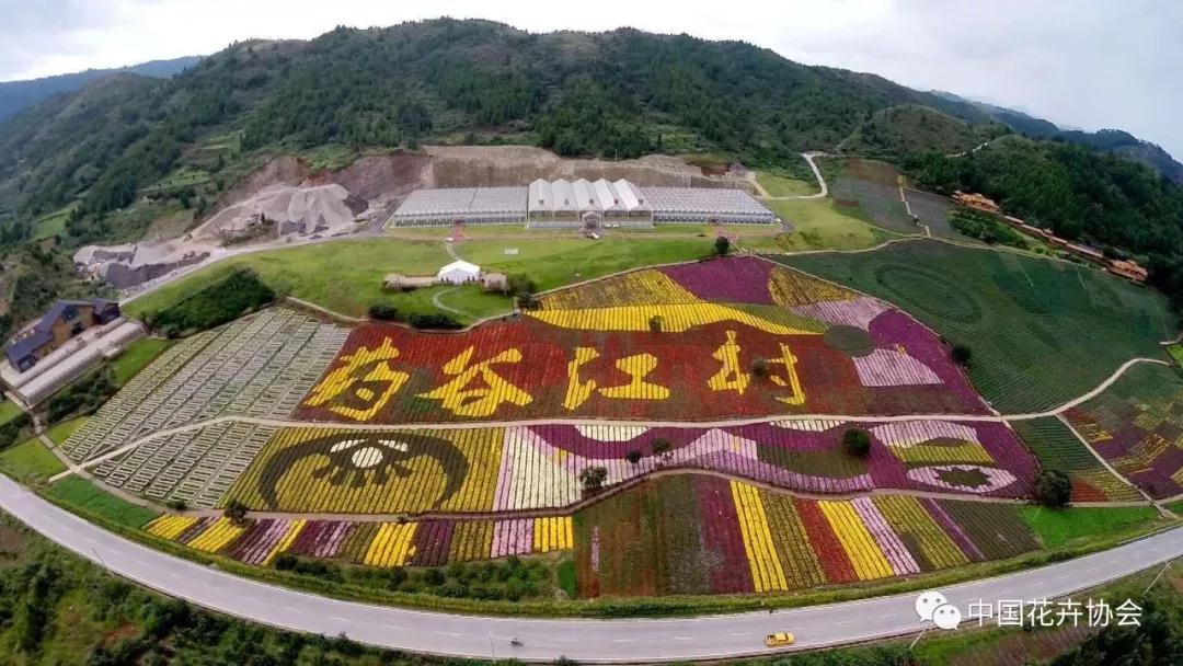 花卉界兩項成果獲2018年度國家科學(xué)技術(shù)獎