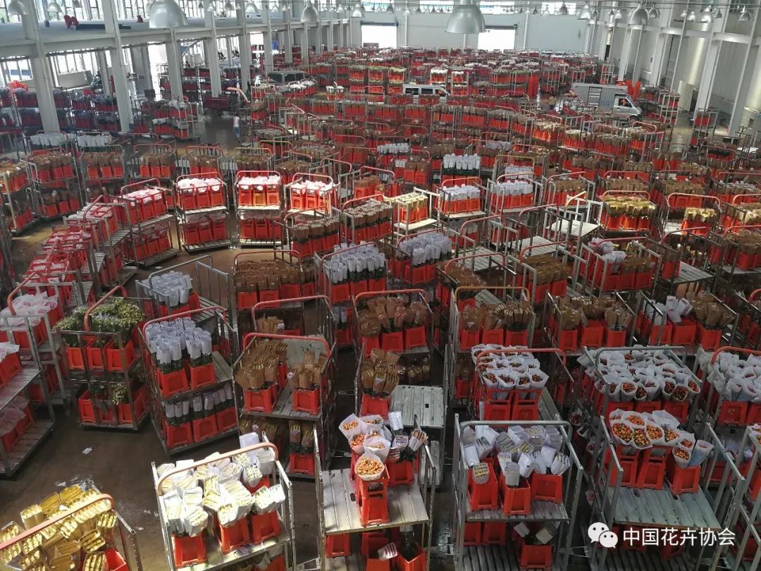 花卉界兩項成果獲2018年度國家科學(xué)技術(shù)獎