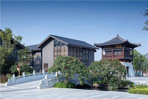 禪緣此地，不向遠方——新興禪域小鎮