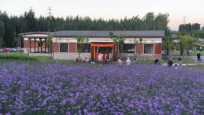 鄉村振興落地園林行業大有可為，但謹防走入誤區