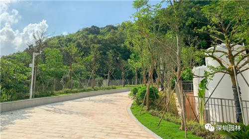 雖然這是座醫(yī)院，但景觀美的不像話！