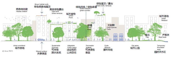 Justin Abbott：水設計——通過整合藍、綠、灰色基礎設施提高城市韌性
