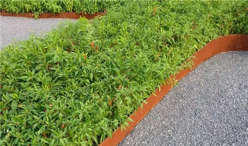2019園冶杯專業(yè)獎丨秦皇島濱海度假城兒童農(nóng)莊