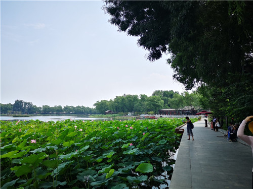 北京推出十條主題線路！帶您流連京城新景觀