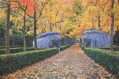 南京編制公園布局規(guī)劃：300米見綠 500米入園