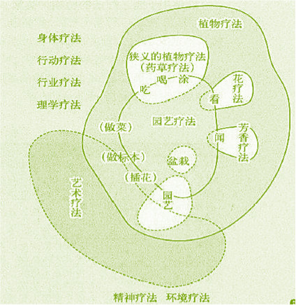 李樹(shù)華：園藝療法保持復(fù)工后身心健康