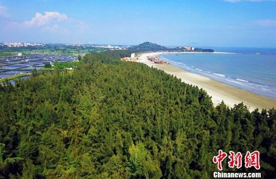 國辦：在防疫條件下積極有序推進(jìn)春季造林綠化工作