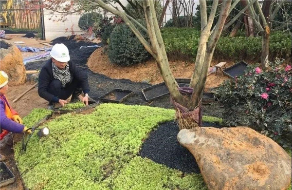 南昌金地金茂正榮悅風華示范區(qū)