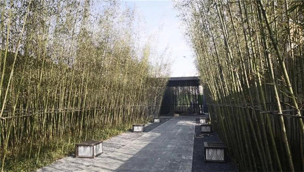 南昌金地金茂正榮悅風華示范區(qū)
