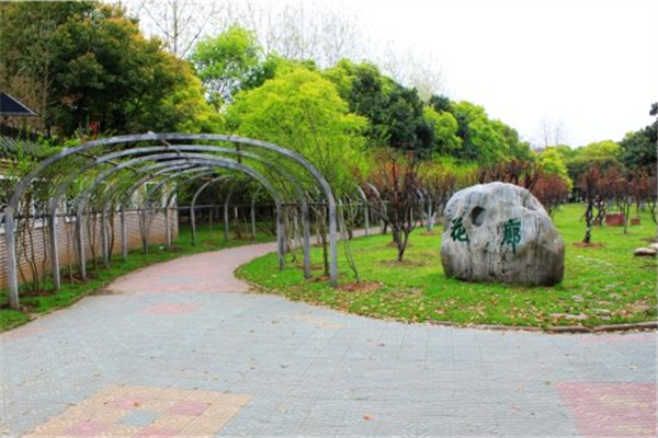 漢水公園：海綿改造讓老舊公園煥發(fā)新生命