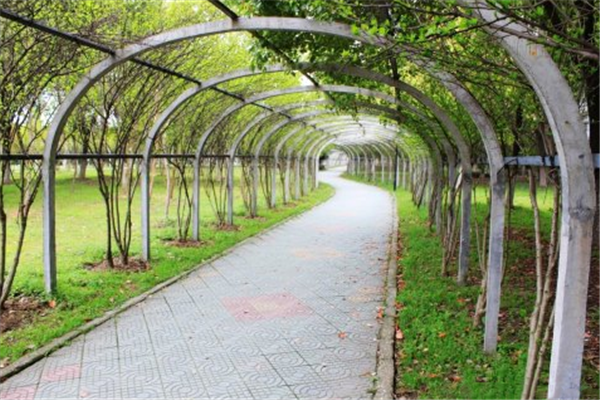 漢水公園：海綿改造讓老舊公園煥發(fā)新生命