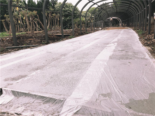 漢水公園：海綿改造讓老舊公園煥發(fā)新生命