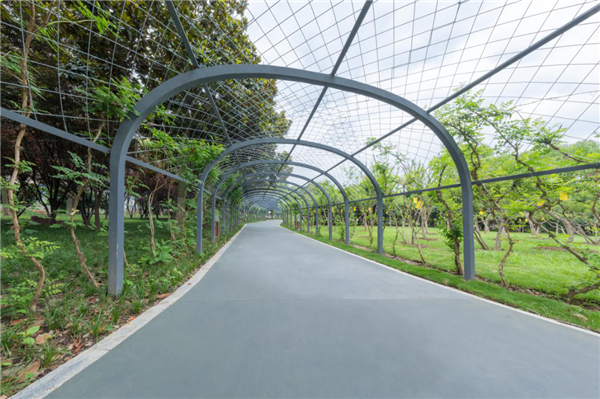 漢水公園：海綿改造讓老舊公園煥發(fā)新生命
