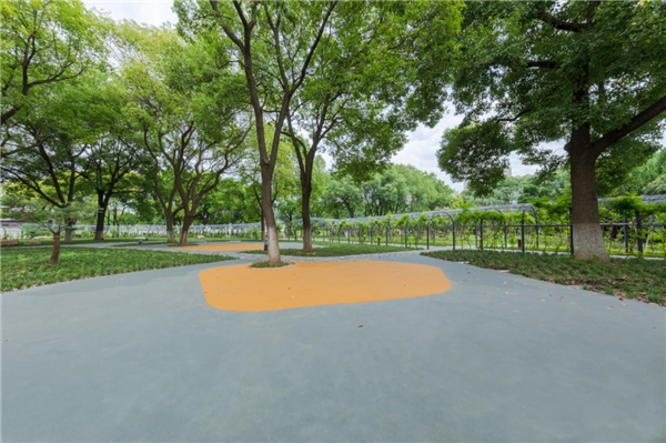 漢水公園：海綿改造讓老舊公園煥發(fā)新生命