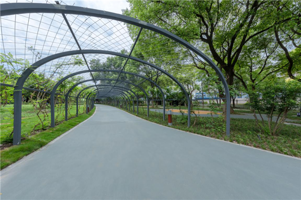 漢水公園：海綿改造讓老舊公園煥發(fā)新生命
