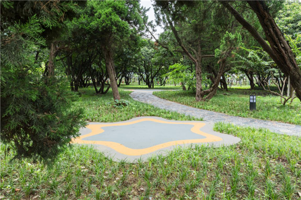 漢水公園：海綿改造讓老舊公園煥發(fā)新生命