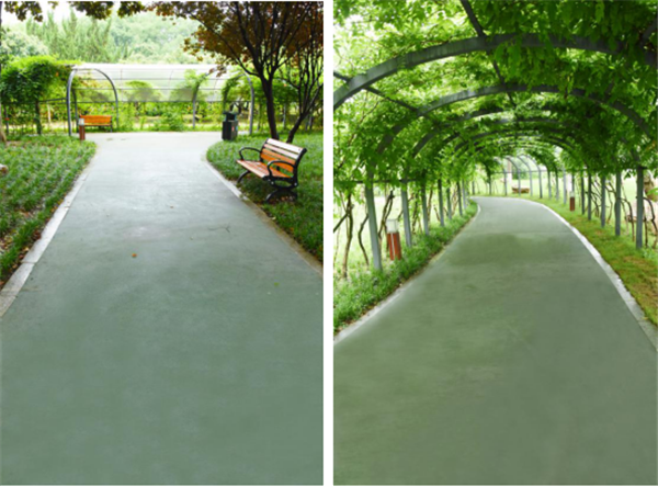 漢水公園：海綿改造讓老舊公園煥發(fā)新生命