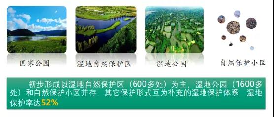 鮑達(dá)明：加強(qiáng)濕地保護(hù)，促進(jìn)綠色發(fā)展
