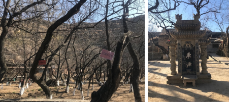 張鴿娟：西北鄉(xiāng)村“共同營(yíng)建”探討