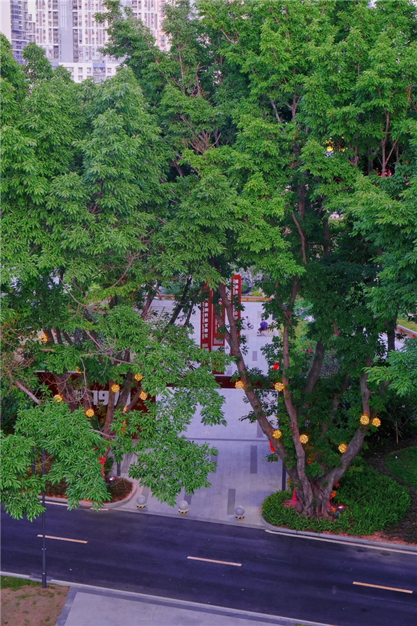 嶺南設(shè)計(jì)丨東莞鰜魚(yú)洲文化創(chuàng)意產(chǎn)業(yè)園