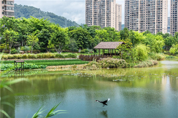 龍巖市龍津湖公園項(xiàng)目