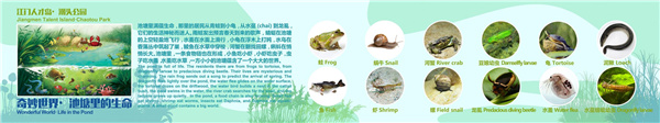 廣東江門市潮連島潮頭中央公園
