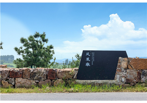 蜀山鄉(xiāng)村振興示范區(qū)元塘、大嶺南及小嶺南村民組人居環(huán)境綜合整治項(xiàng)目