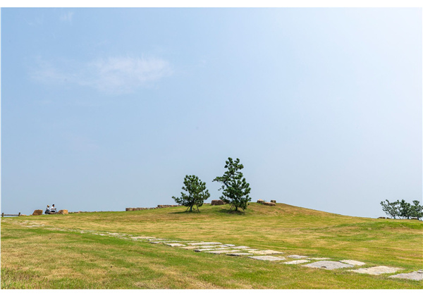 蜀山鄉(xiāng)村振興示范區(qū)元塘、大嶺南及小嶺南村民組人居環(huán)境綜合整治項(xiàng)目