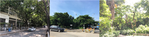 海谷科技大廈展示區(qū)景觀設(shè)計(jì)