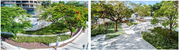 海谷科技大廈展示區(qū)景觀設(shè)計(jì)