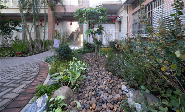GND杰地景觀丨后海小學(xué)未來花園