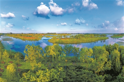江蘇揚(yáng)州北湖國家濕地公園晉升“國家隊(duì)”