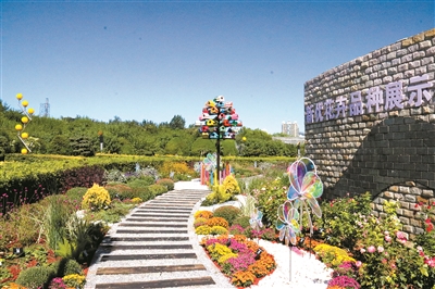 弘揚菊花文化 展現(xiàn)“京花”魅力
