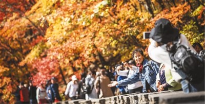 推窗見(jiàn)綠 出門(mén)入園 “森林城市”見(jiàn)證好生態(tài)