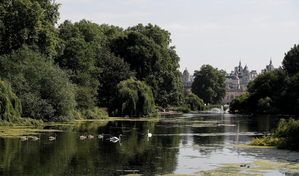 英國專家：中國設立國家公園是“了不起的成就”
